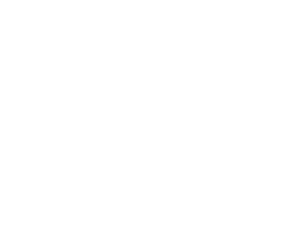 hsm-consult logo
