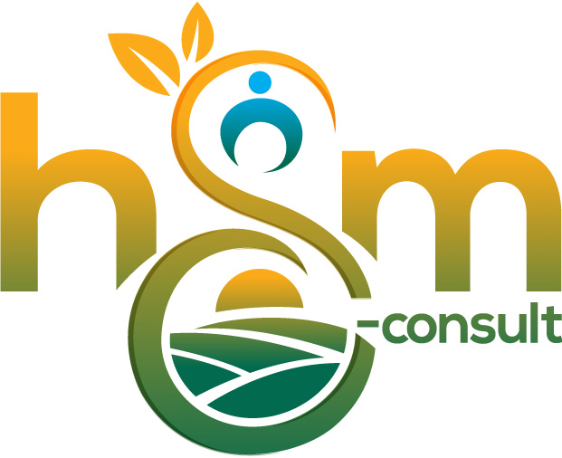 Logo hsm-consult